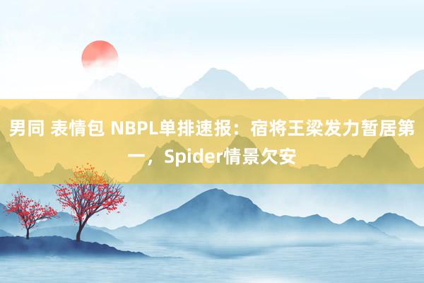 男同 表情包 NBPL单排速报：宿将王梁发力暂居第一，Spider情景欠安