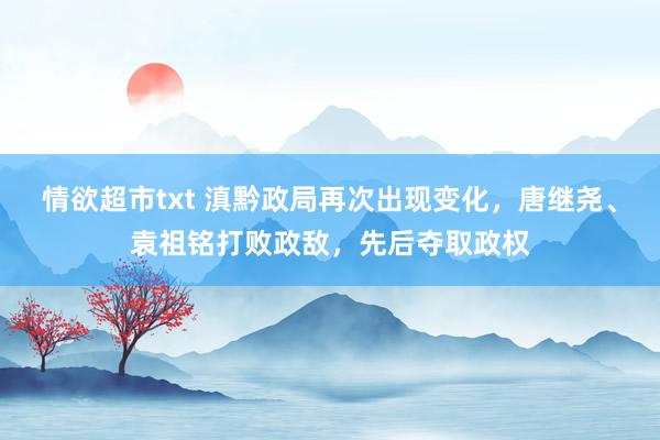 情欲超市txt 滇黔政局再次出现变化，唐继尧、袁祖铭打败政敌，先后夺取政权