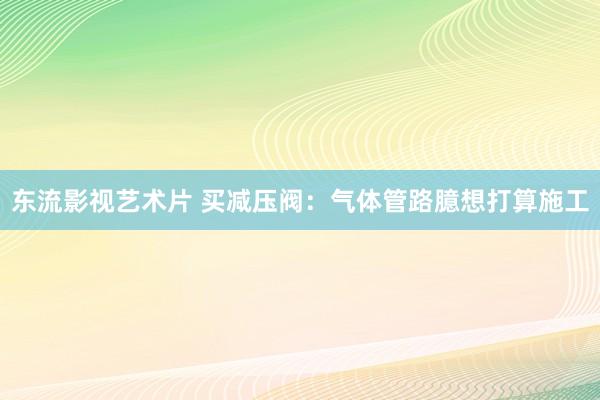东流影视艺术片 买减压阀：气体管路臆想打算施工