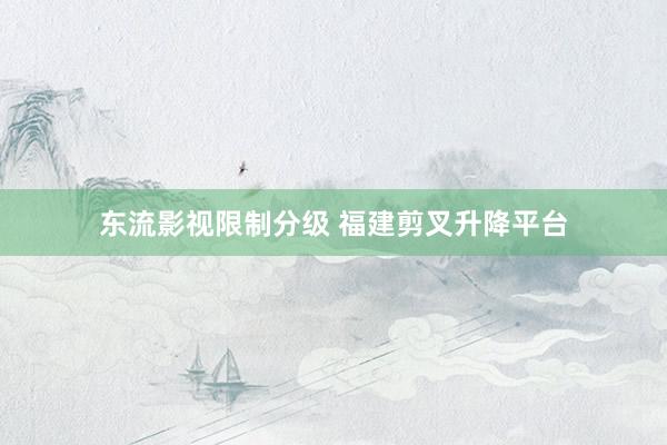 东流影视限制分级 福建剪叉升降平台