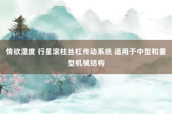 情欲湿度 行星滚柱丝杠传动系统 适用于中型和重型机械结构