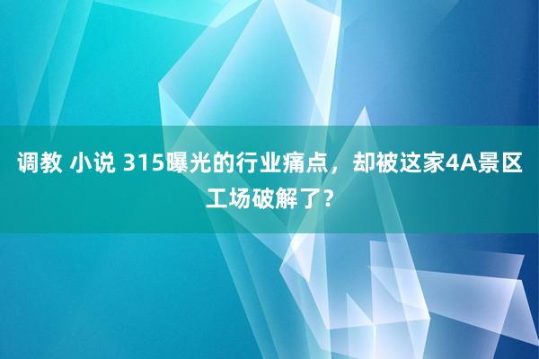 调教 小说 315曝光的行业痛点，却被这家4A景区工场破解了？