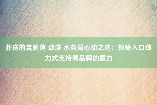 葬送的芙莉莲 动漫 水务局心动之选：探秘入口独力式支持阀品牌的魔力