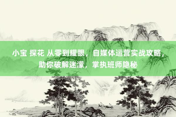 小宝 探花 从零到耀眼，自媒体运营实战攻略，助你破解迷濛，掌执班师隐秘