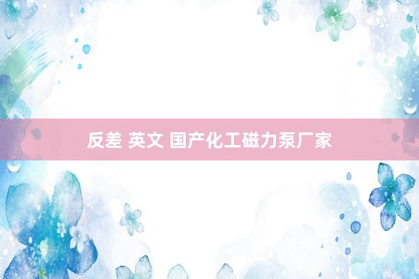 反差 英文 国产化工磁力泵厂家