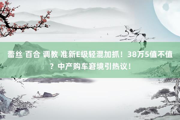 蕾丝 百合 调教 准新E级轻混加抓！38万5值不值？中产购车窘境引热议！