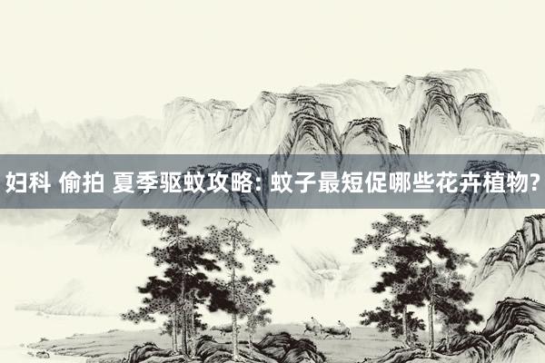 妇科 偷拍 夏季驱蚊攻略: 蚊子最短促哪些花卉植物?