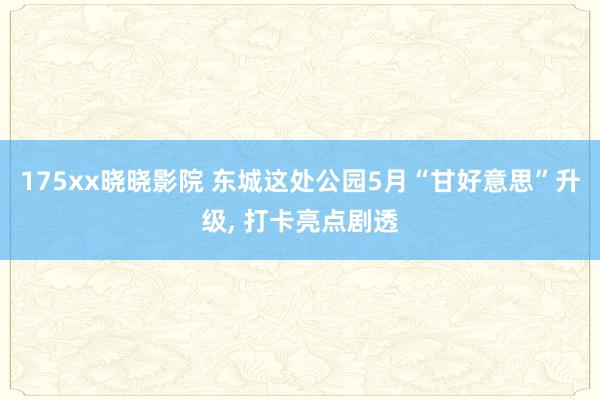 175xx晓晓影院 东城这处公园5月“甘好意思”升级, 打卡亮点剧透
