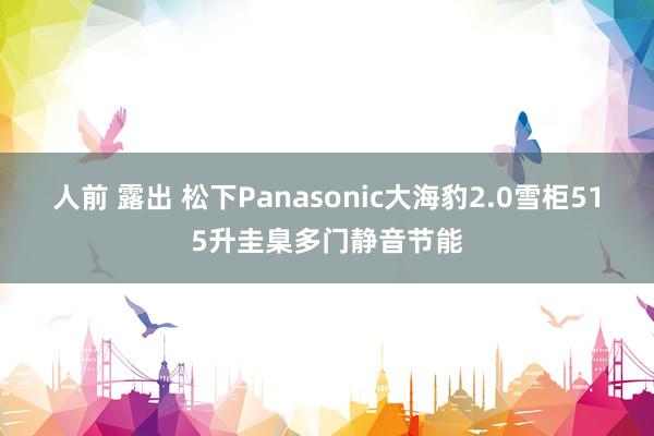 人前 露出 松下Panasonic大海豹2.0雪柜515升圭臬多门静音节能