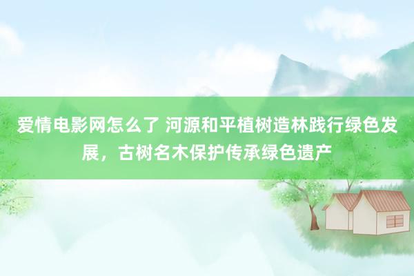 爱情电影网怎么了 河源和平植树造林践行绿色发展，古树名木保护传承绿色遗产