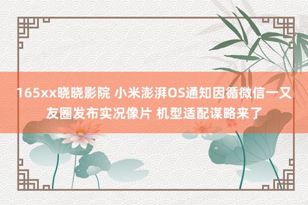 165xx晓晓影院 小米澎湃OS通知因循微信一又友圈发布实况像片 机型适配谋略来了