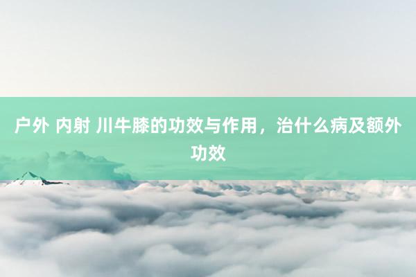 户外 内射 川牛膝的功效与作用，治什么病及额外功效