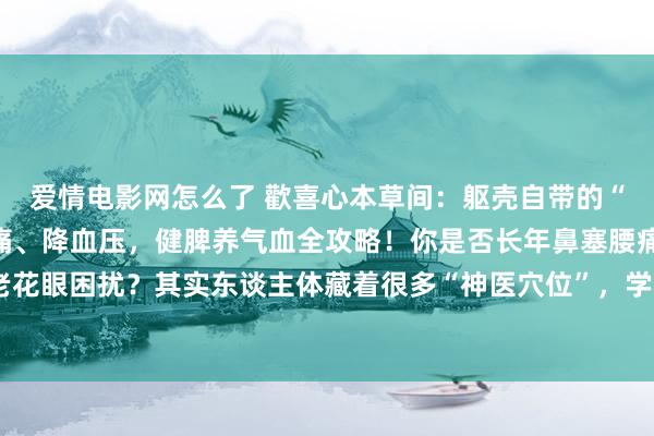 爱情电影网怎么了 歡喜心本草间:躯壳自带的“神医穴”:通鼻、治腰痛、降血压,健脾养气血全攻略!你是否长年鼻塞腰痛?是否被高血压、老花眼困扰?其实东谈主体藏着很多“神医穴位”,学会正确看重,不仅能缓解症状,还能从根源上...