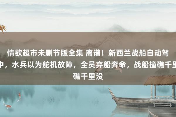 情欲超市未删节版全集 离谱！新西兰战船自动驾驶中，水兵以为舵机故障，全员弃船奔命，战船撞礁千里没